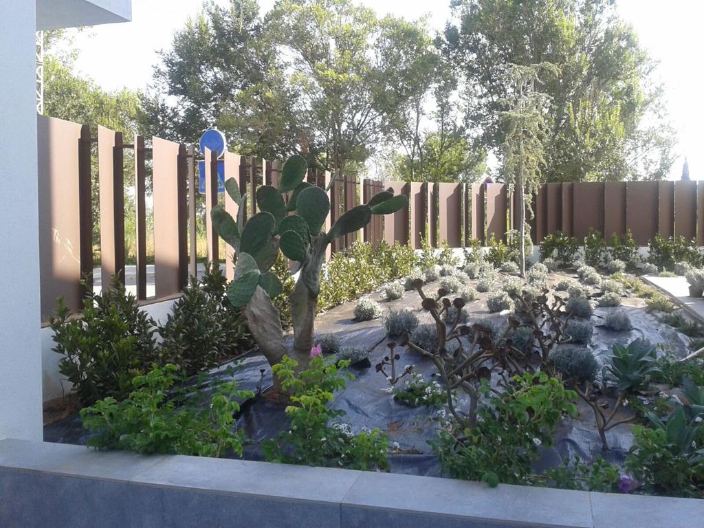 Jardineros Castellon diseñando y planificando un jardín moderno y sostenible