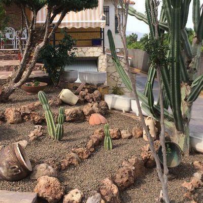 Jardineros Castellon trabajando en el mantenimiento y cuidado de jardines residenciales y comunitarios