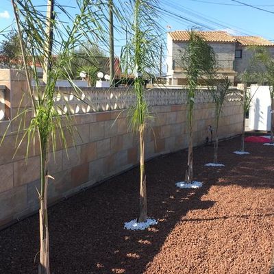 Jardineros Valencia realizando plantación de plantas y abonado en jardín residencial