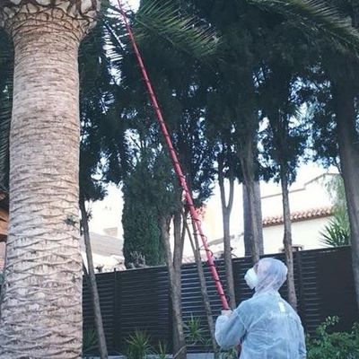 Jardineros Valencia aplicando tratamientos fitosanitarios para controlar plagas en plantas